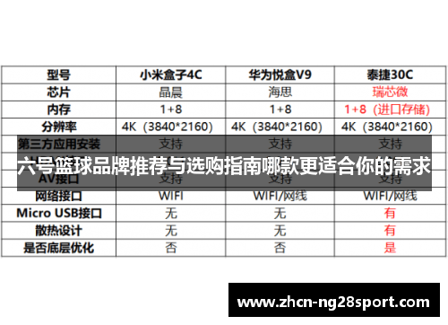 六号篮球品牌推荐与选购指南哪款更适合你的需求