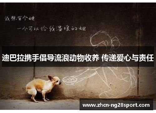 迪巴拉携手倡导流浪动物收养 传递爱心与责任