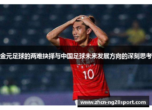 金元足球的两难抉择与中国足球未来发展方向的深刻思考