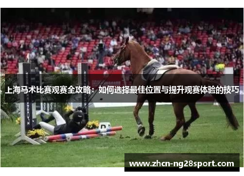 上海马术比赛观赛全攻略：如何选择最佳位置与提升观赛体验的技巧