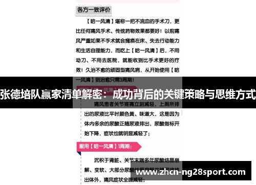 张德培队赢家清单解密：成功背后的关键策略与思维方式